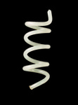 Cow Coil